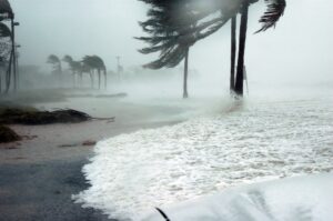 How to prepare your business for a hurricane
