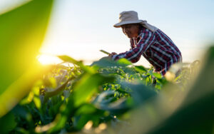 Lubricantes para producción agropecuaria y agrícola en Puerto Rico