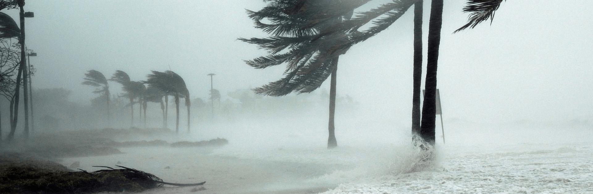Tips para la preparación de la temporada de huracanes en su empresa